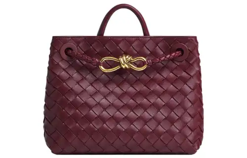 Bottega Veneta Andiamo Sheepskin Shoulder Bag, Crossbody Bag, Handbag Small Women's Barolo Burgundy