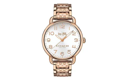 COACH Delancey Wrist Watches Quartz Movement Stainless Steel Strap 36mm Silver Dial Women's Watch 30m Water Resistant