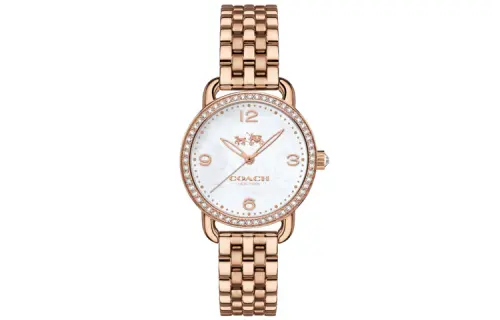 COACH Wrist Watches Quartz Movement Stainless Steel Strap 28mm Mother of Pearl Color Watch Dial Women's Watch