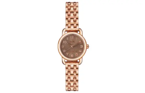 COACH Delancey Wrist Watch Quartz Movement Stainless Steel Strap 22mm Tan Watch Dial Women's Watch 30m Water Resistant