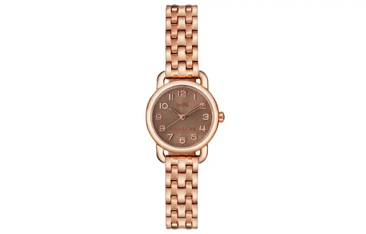 COACH Delancey Wrist Watch Quartz Movement Stainless Steel Strap 22mm Tan Watch Dial Women's Watch 30m Water Resistant