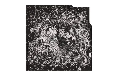 DIOR Silk Scarves Women's Black