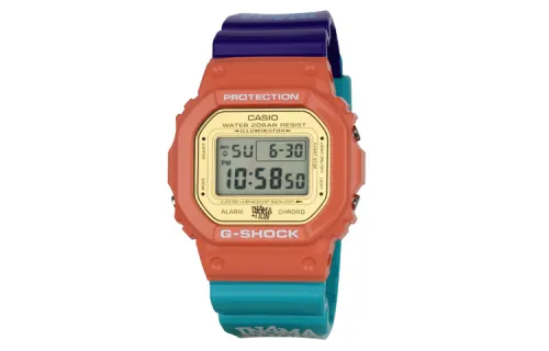 CASIO Unisex G-SQUAD Series Gray Watch DW5600IN4M234
