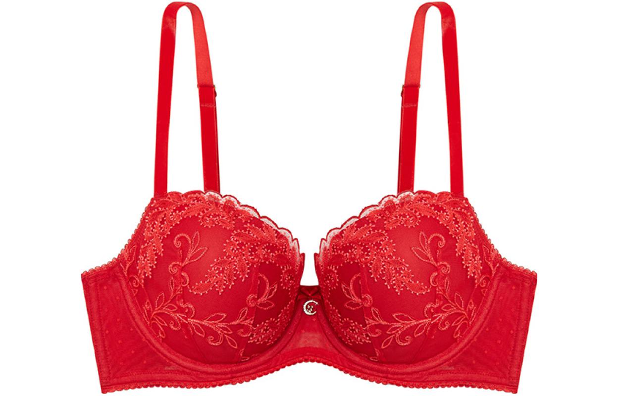 Victoria's Secret /Victoria's Secret Dream Angels Series Sexy Mesh Floral Embroidery 3/4 Cup Zodiac Year Bra Red