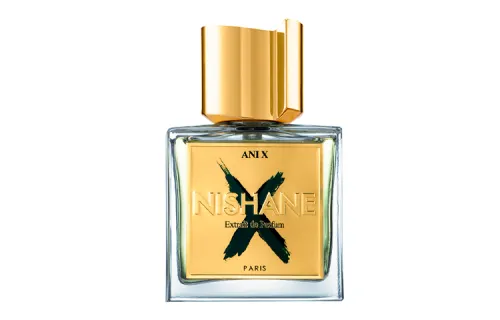 NISHANE ANI X