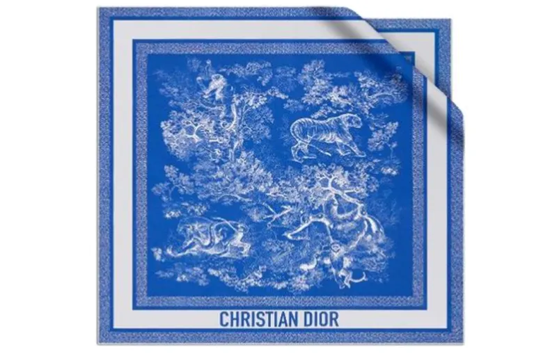 DIOR Scarves Women's Blue