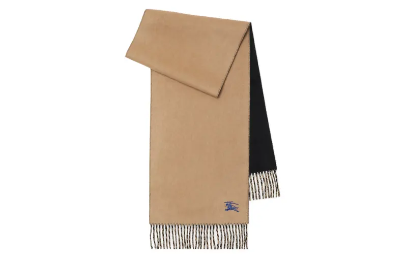 Ekd embroidered cashmere scarf