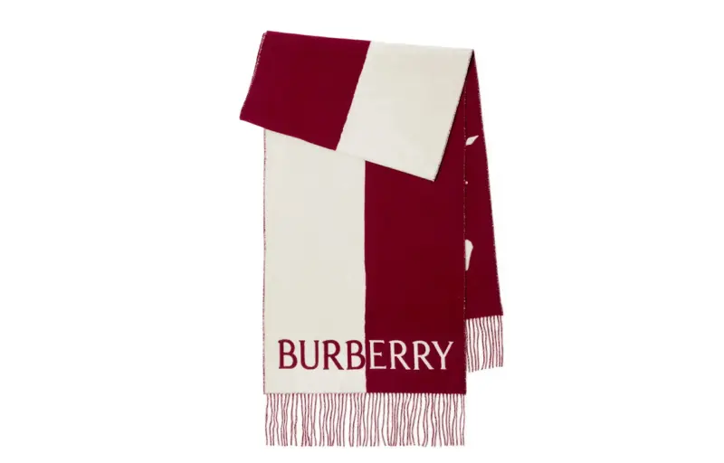 【Previous Season】EDK knight-motif fringed-edge scarf