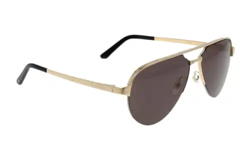 Cartier Santos De Cartier Oversized Sunglasses