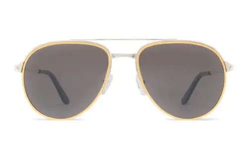 Cartier Santos De Cartier Pilot frame Sunglasses