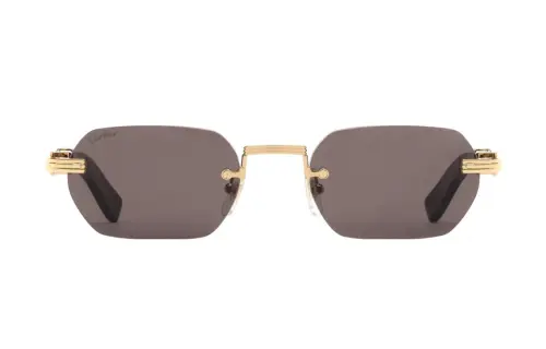 Cartier Rectangle Frame Sunglasses