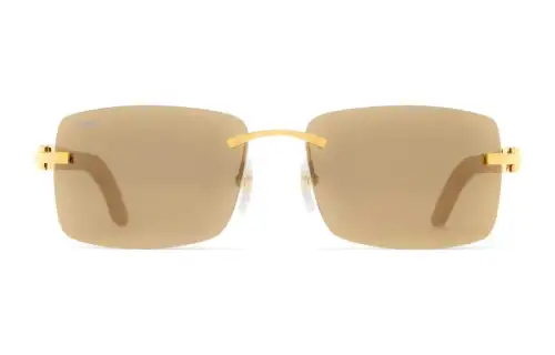 Cartier Rectangle Frame Sunglasses