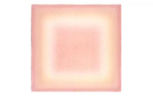 LOUIS VUITTON Shawls Women's Pink