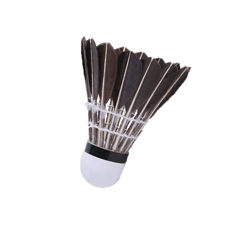 Li Ning KG Collection KGB05 Goose Feather Shuttlecock 12 Pack Goose Feather Everyday Shuttlecocks