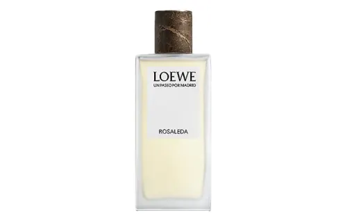 LOEWE Wander Madrid Encounter Rose Manor