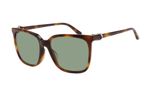 CARTIER Plastic Irregular Shape Sunglasses Unisex Brown