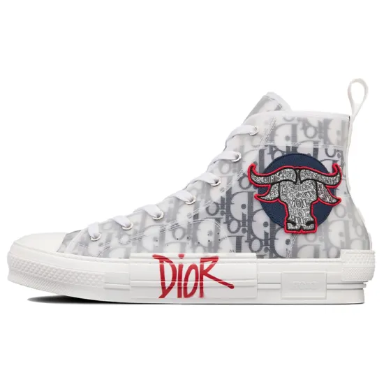 DIOR And Shawn B23 High