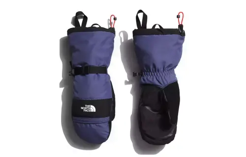 THE NORTH FACE Gloves Men's Purple