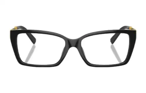 Tiffany & CO. Rectangle Frame Glasses
