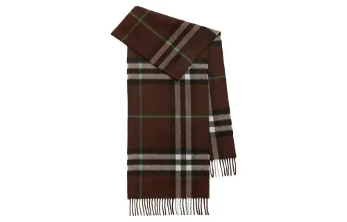 Burberry Knit Scarves Men's Brown