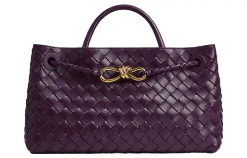 Bottega Veneta Andiamo Sheepskin Shoulder Bag, Crossbody Bag, Handbag Small Women's Purple