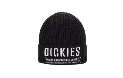 Dickies Acrylic Beanies Unisex Black
