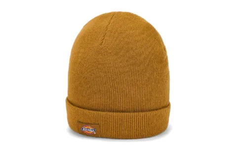 Dickies Beanies Unisex