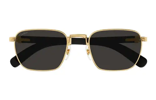 Cartier Rectangular Frame Sunglasses
