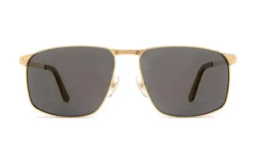 Cartier Rectangle Frame Sunglasses