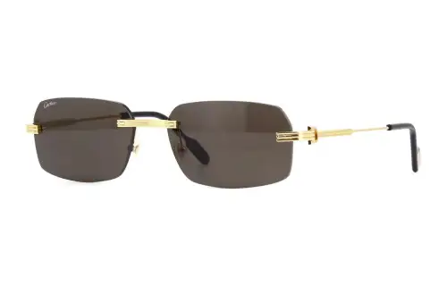 Cartier Rectangular Frame Sunglasses