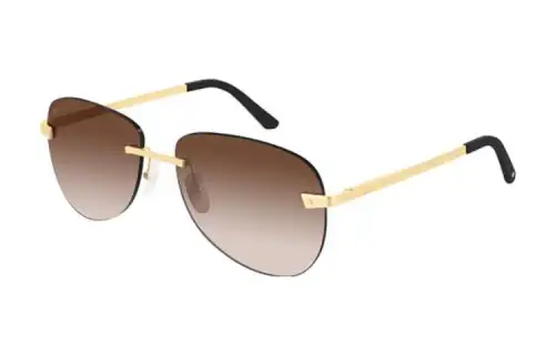 Cartier Santos De Cartier Sunglasses