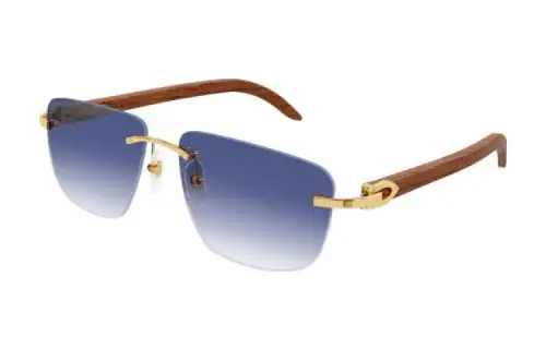 Cartier Square Frame Sunglasses