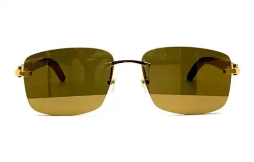 Cartier Square Framed Contrast Sunglasses