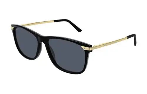 CARTIER Acetate Irregular Shape Sunglasses Men's Black