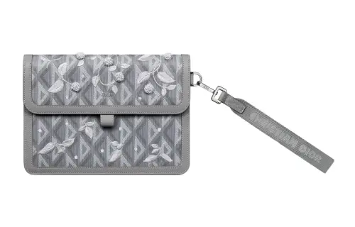 DIOR Clutches