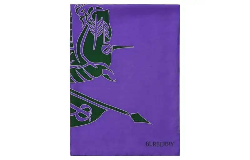 Burberry Knit Scarves Unisex Purple