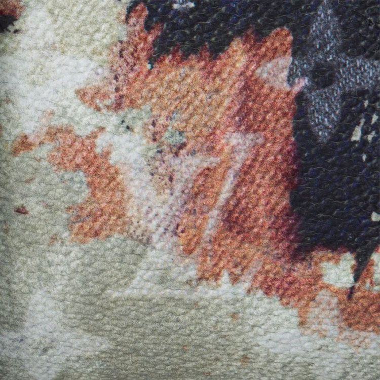 Photo 22243842