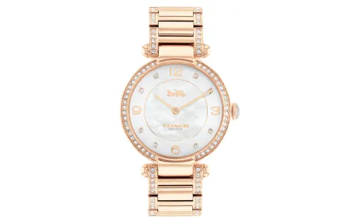 COACH Wrist Watches Quartz Movement Stainless Steel Strap 30mm White Dial Women's Watch Waterproof