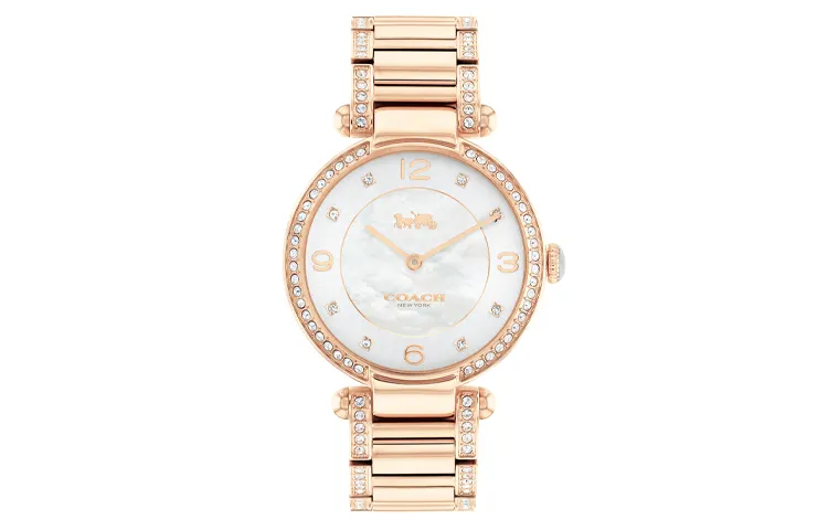 COACH Wrist Watches Quartz Movement Stainless Steel Strap 30mm White Dial Women's Watch Waterproof