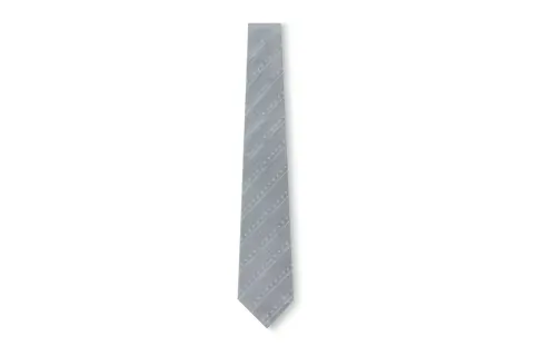 LOUIS VUITTON MONOGRAM STRIPES Ties Men's Gray