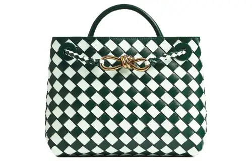 Bottega Veneta Andiamo Handbags