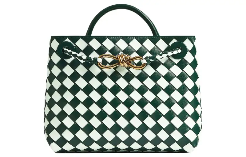 Bottega Veneta Andiamo Handbags