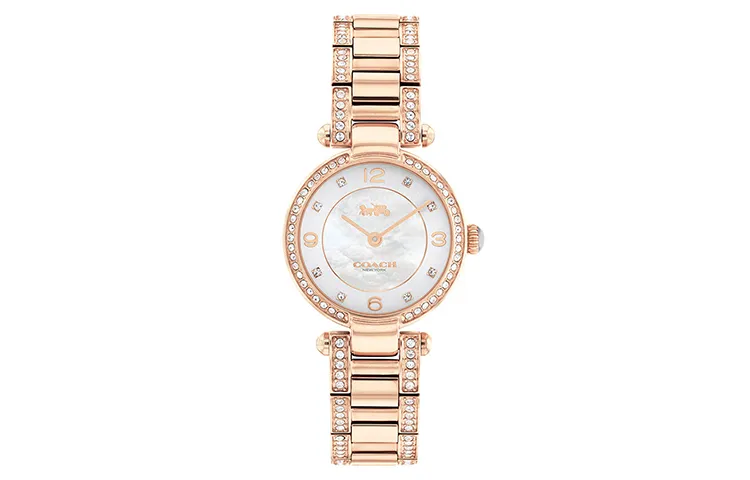 COACH CARY Wrist Watches Quartz Movement Steel Strap 26mm Mother of Pearl Color Watch Dial Women's Watch