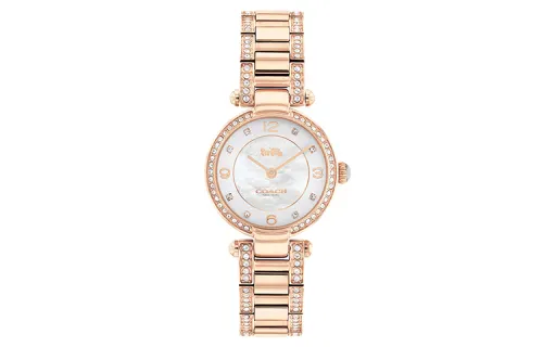 COACH CARY Wrist Watches Quartz Movement Steel Strap 26mm Mother of Pearl Color Watch Dial Women's Watch