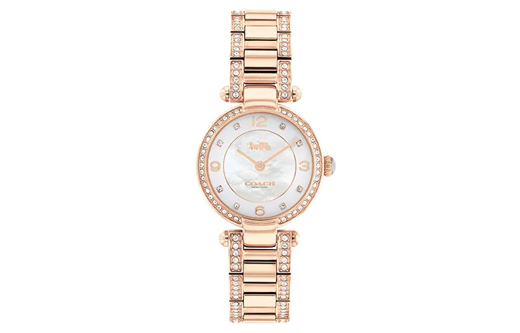 COACH CARY Wrist Watches Quartz Movement Steel Strap 26mm Mother of Pearl Color Watch Dial Women's Watch
