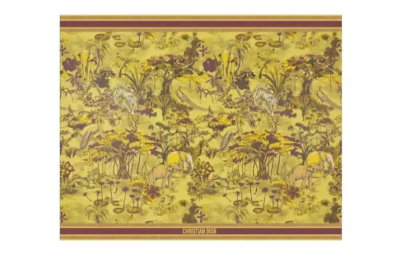 DIOR Knit Scarves Women's Yellow