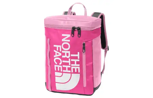THE NORTH FACE 21L Backpack Outdoor Bag Recycled Nylon Orchid Pink Women's
