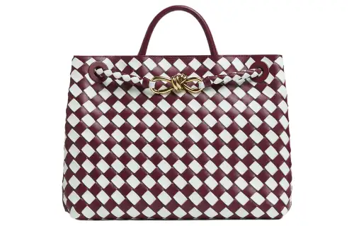 Bottega Veneta Medium Andiamo Bag Barolo/Glacier