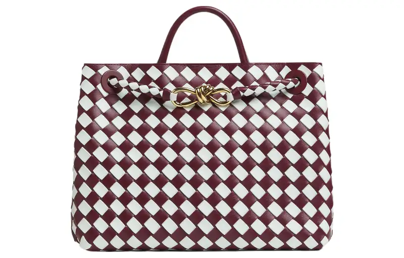 Bottega Veneta Medium Andiamo Bag Barolo/Glacier