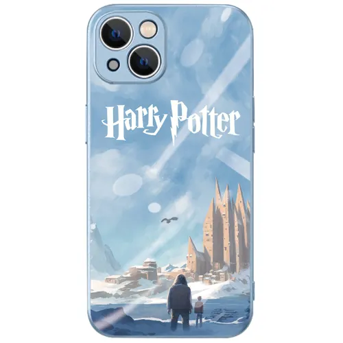 Apple, compatible phone case, glass protective lens, 14/13/12/11, 11 plus, print, mirror effect, material